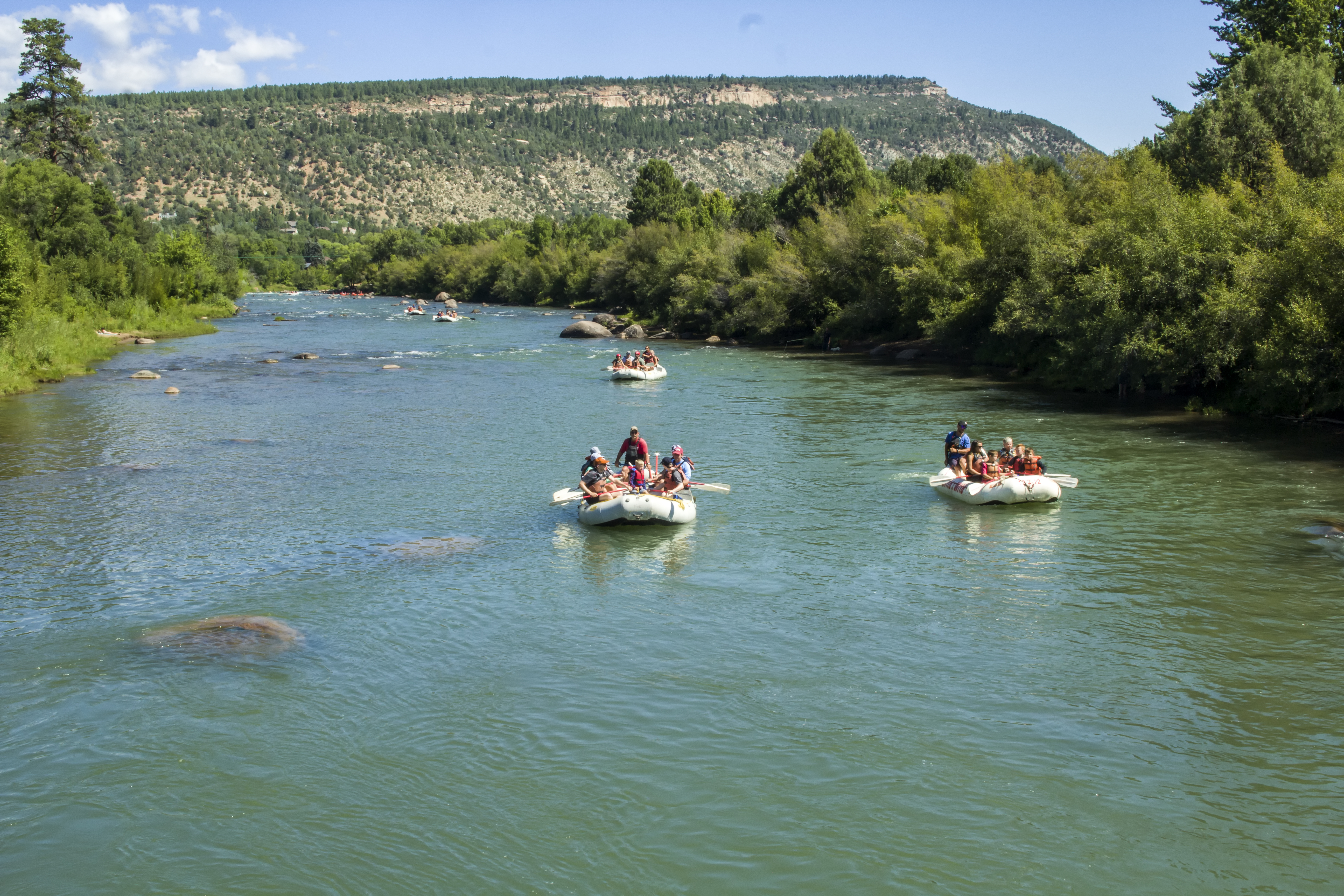 Durango Rafting Lower Animas